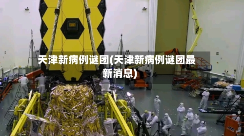 天津新病例谜团(天津新病例谜团最新消息)-第2张图片