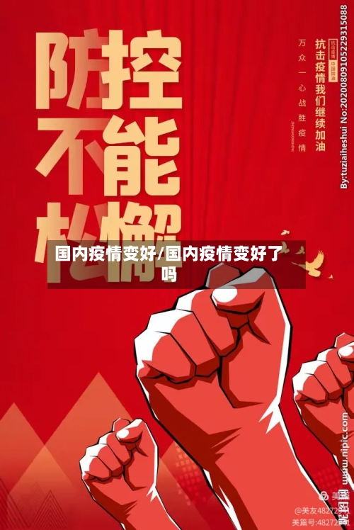 国内疫情变好/国内疫情变好了吗