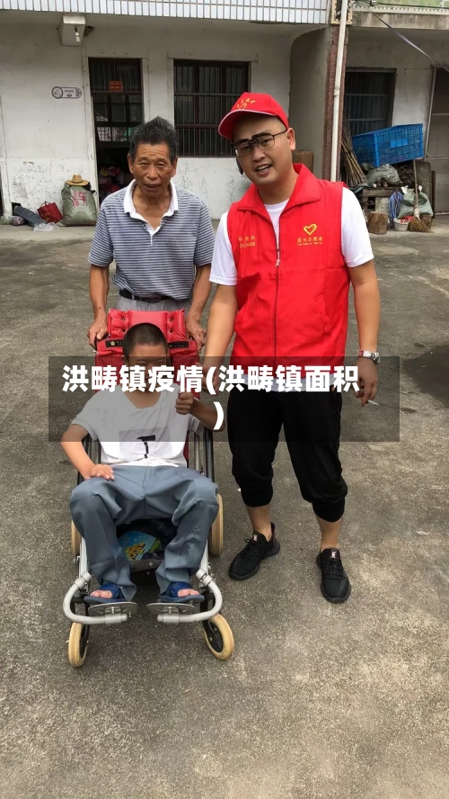 洪畴镇疫情(洪畴镇面积)-第2张图片