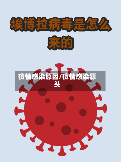 疫情感染原因/疫情感染源头-第2张图片