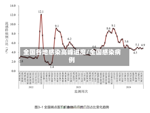 全国各地感染高峰进度/全国感染病例