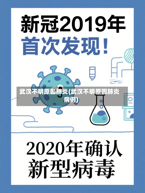武汉不明原因肺炎(武汉不明原因肺炎病例)-第3张图片