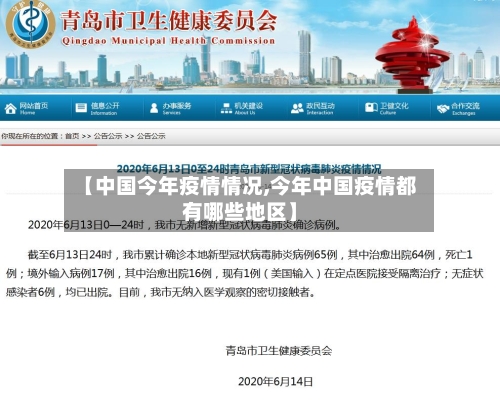 【中国今年疫情情况,今年中国疫情都有哪些地区】-第3张图片