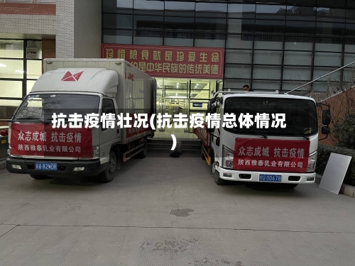 抗击疫情壮况(抗击疫情总体情况)-第3张图片