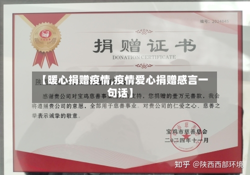 【暖心捐赠疫情,疫情爱心捐赠感言一句话】