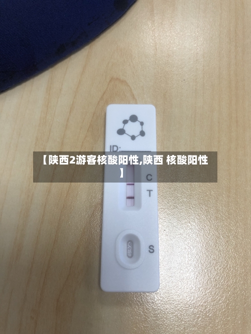 【陕西2游客核酸阳性,陕西 核酸阳性】