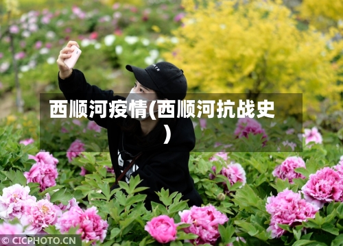 西顺河疫情(西顺河抗战史)