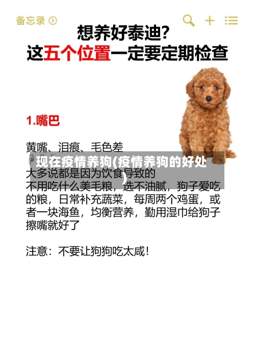 现在疫情养狗(疫情养狗的好处)-第3张图片