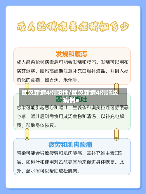 武汉新增4例阳性/武汉新增4例肺炎病例a-第2张图片