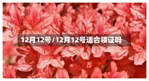12月12号/12月12号适合领证吗