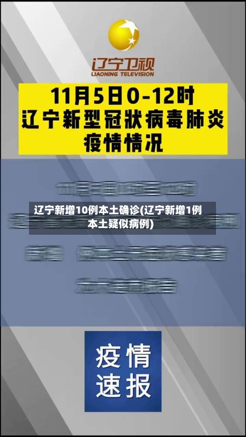 辽宁新增10例本土确诊(辽宁新增1例本土疑似病例)-第2张图片