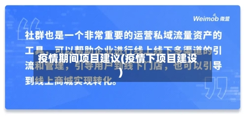 疫情期间项目建议(疫情下项目建设)