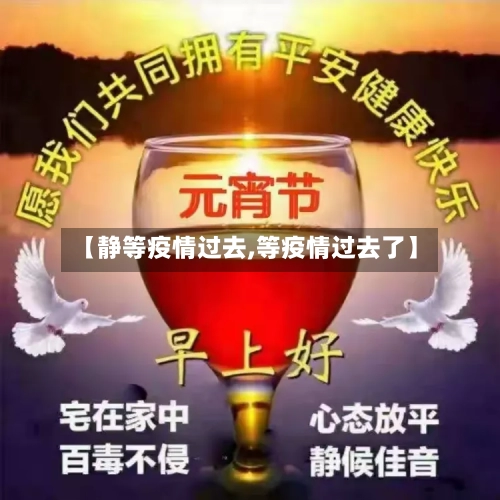 【静等疫情过去,等疫情过去了】-第3张图片