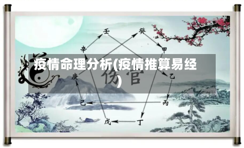 疫情命理分析(疫情推算易经)-第3张图片