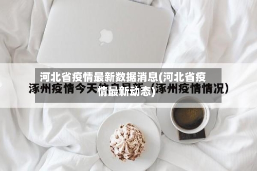 河北省疫情最新数据消息(河北省疫情最新动态)-第2张图片