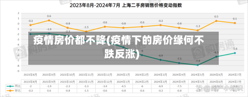疫情房价都不降(疫情下的房价缘何不跌反涨)-第2张图片