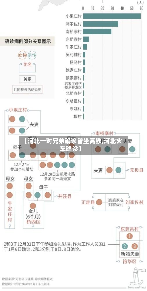 【河北一对兄弟确诊曾坐高铁,河北火车确诊】