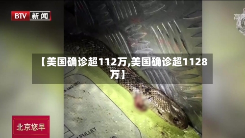 【美国确诊超112万,美国确诊超1128万】-第2张图片