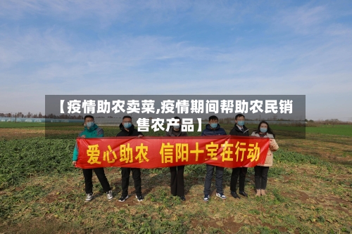 【疫情助农卖菜,疫情期间帮助农民销售农产品】