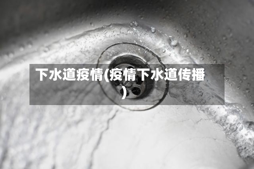下水道疫情(疫情下水道传播)-第3张图片