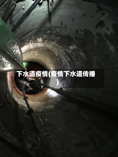 下水道疫情(疫情下水道传播)-第2张图片
