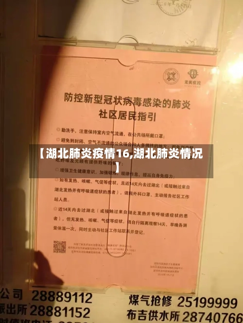 【湖北肺炎疫情16,湖北肺炎情况】-第2张图片