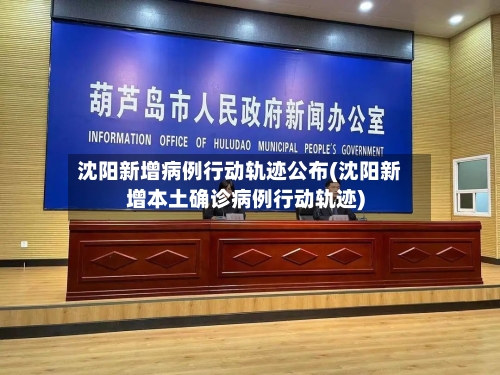 沈阳新增病例行动轨迹公布(沈阳新增本土确诊病例行动轨迹)-第2张图片