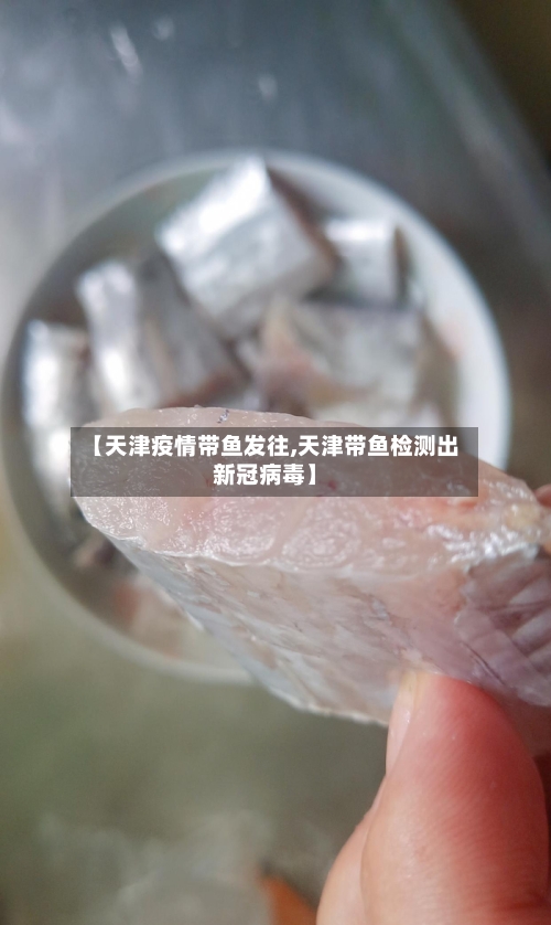 【天津疫情带鱼发往,天津带鱼检测出新冠病毒】-第2张图片