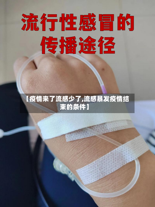 【疫情来了流感少了,流感暴发疫情结束的条件】-第2张图片