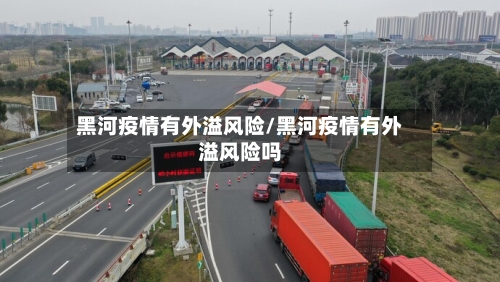 黑河疫情有外溢风险/黑河疫情有外溢风险吗-第3张图片