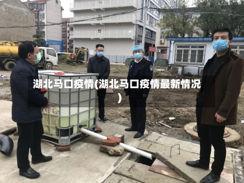 湖北马口疫情(湖北马口疫情最新情况)