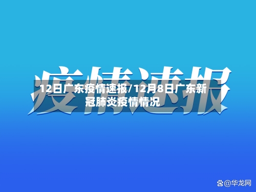 12日广东疫情速报/12月8日广东新冠肺炎疫情情况