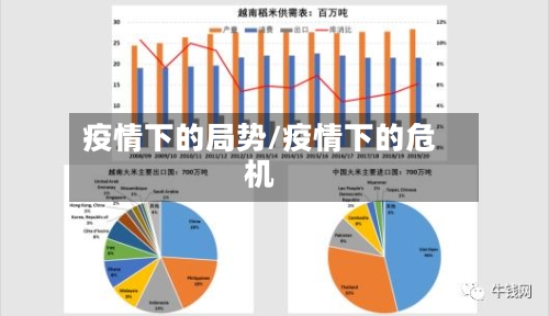 疫情下的局势/疫情下的危机