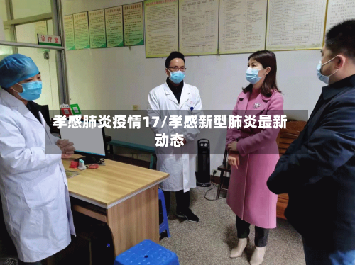 孝感肺炎疫情17/孝感新型肺炎最新动态
