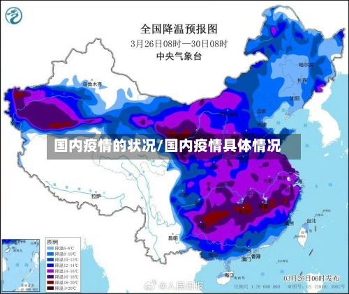 国内疫情的状况/国内疫情具体情况