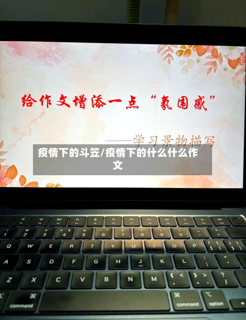 疫情下的斗笠/疫情下的什么什么作文-第2张图片