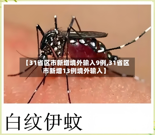 【31省区市新增境外输入9例,31省区市新增13例境外输入】-第3张图片