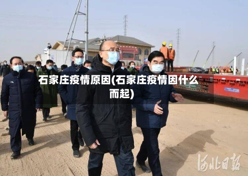 石家庄疫情原因(石家庄疫情因什么而起)