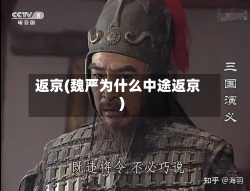 返京(魏严为什么中途返京)