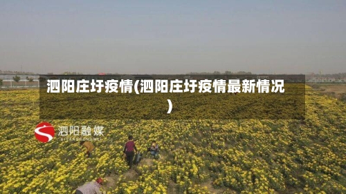 泗阳庄圩疫情(泗阳庄圩疫情最新情况)