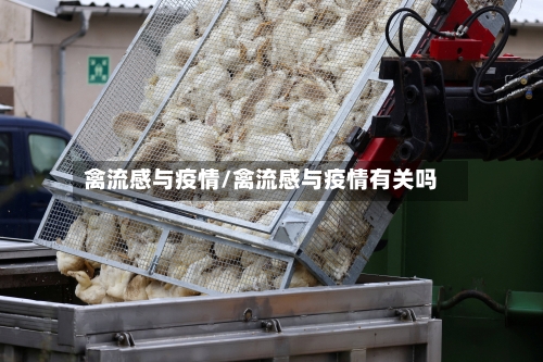 禽流感与疫情/禽流感与疫情有关吗