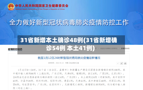 31省新增本土确诊48例(31省新增确诊54例 本土41例)-第2张图片