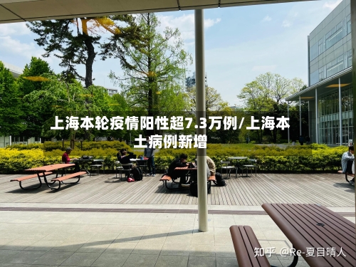 上海本轮疫情阳性超7.3万例/上海本土病例新增-第2张图片