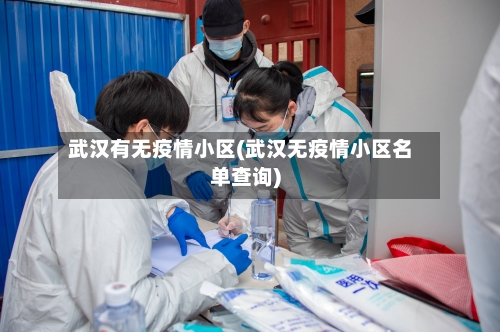 武汉有无疫情小区(武汉无疫情小区名单查询)-第3张图片