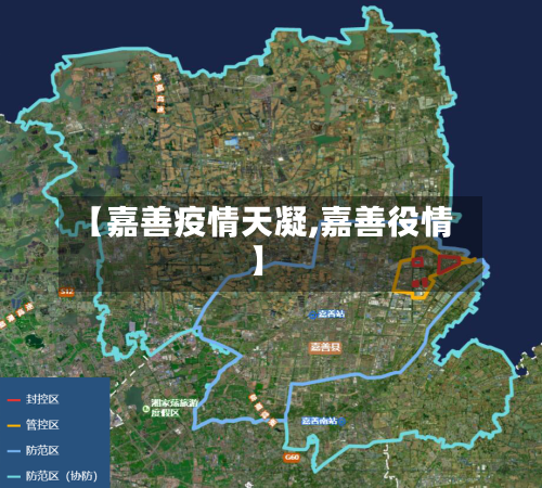 【嘉善疫情天凝,嘉善役情】-第2张图片