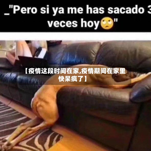 【疫情这段时间在家,疫情期间在家里快呆疯了】-第2张图片