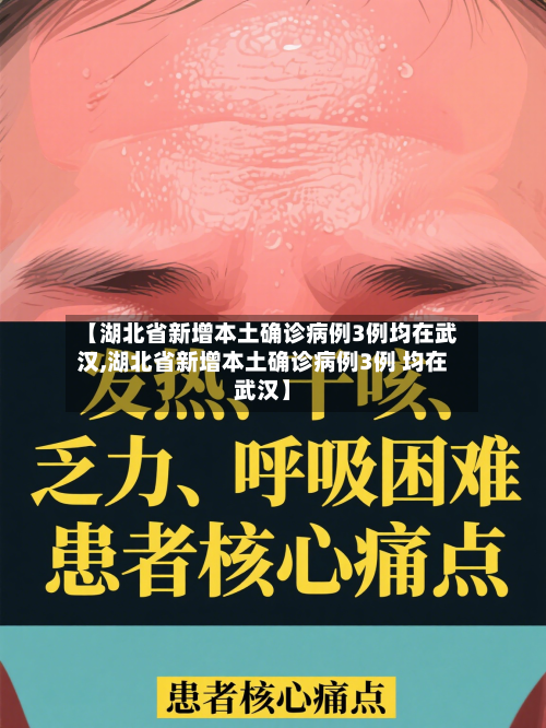 【湖北省新增本土确诊病例3例均在武汉,湖北省新增本土确诊病例3例 均在武汉】
