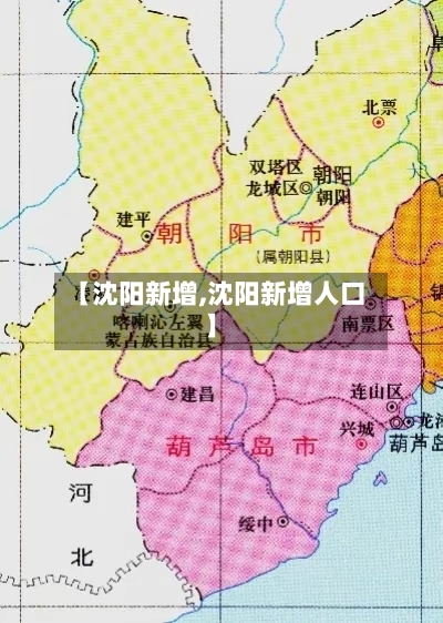 【沈阳新增,沈阳新增人口】