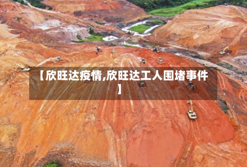【欣旺达疫情,欣旺达工人围堵事件】-第3张图片
