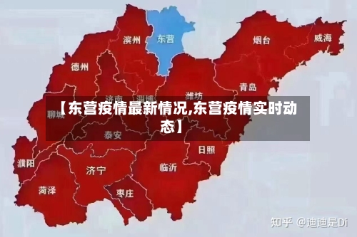 【东营疫情最新情况,东营疫情实时动态】